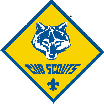 cubscouts2001019.gif