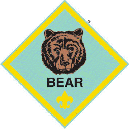 cubscouts2006001.gif
